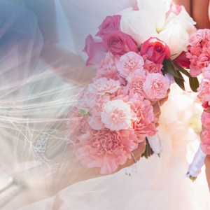 banner-4